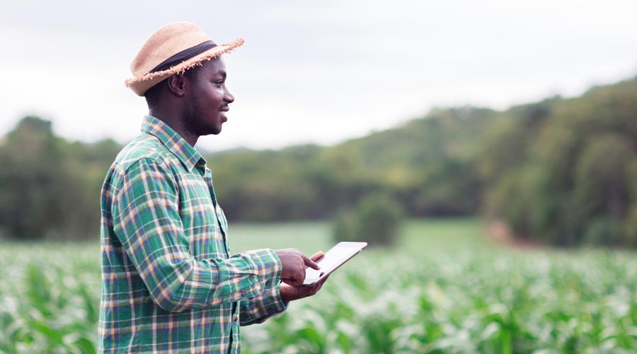 Inspecteur Apave pratique un diagnostic environnemental