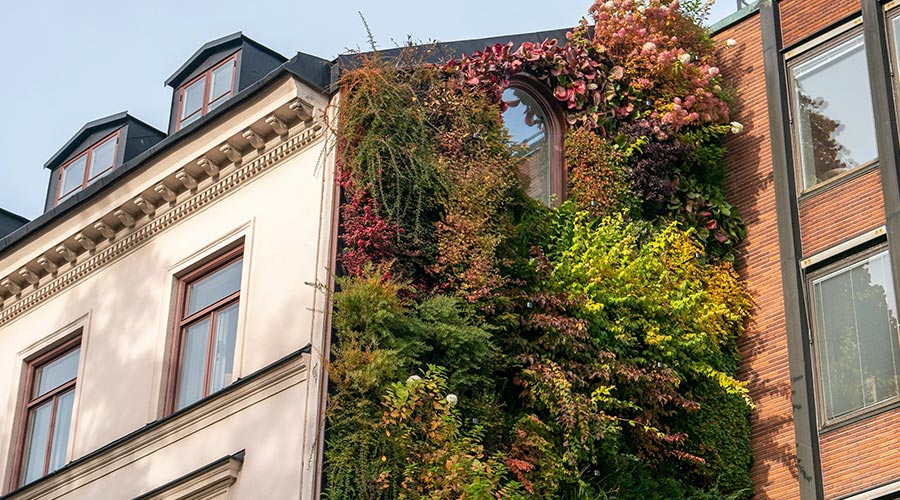 passive house