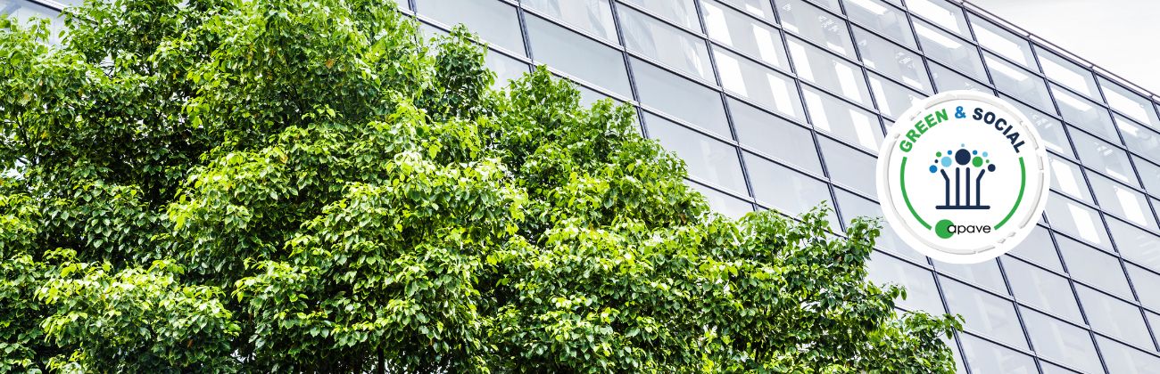 un arbre devant un bâtiment