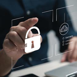 Management du systeme dinformation