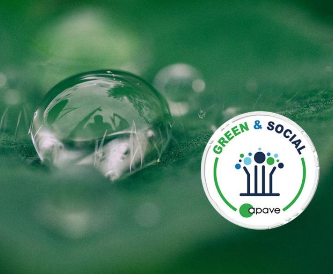 Logo Green&Social