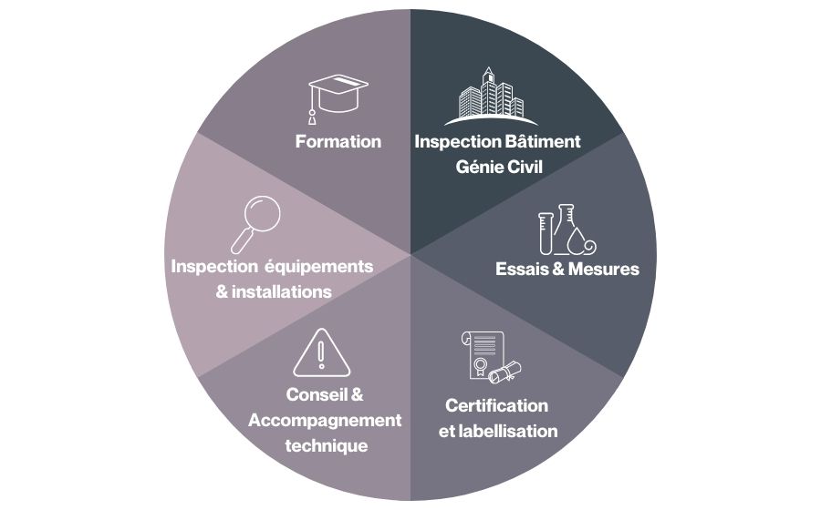 Diagramme présentant les métiers Apave
